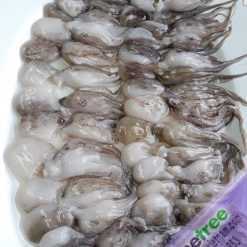 baby octopus, frozen octopus, whole sale, cheap price