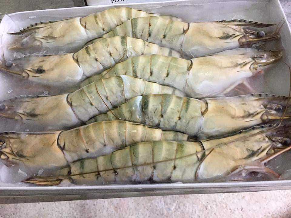 frozen black tiger shrimp vietnam